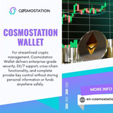 Cosmostation Wallet Security