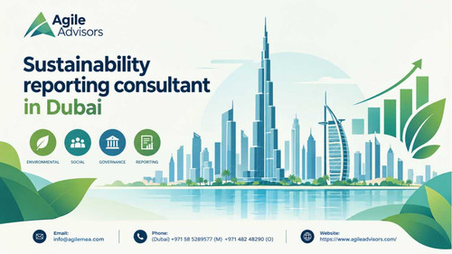 Sustainability reporting consultancy.jpg