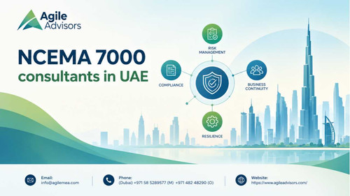 BCM consultants in UAE.jpg