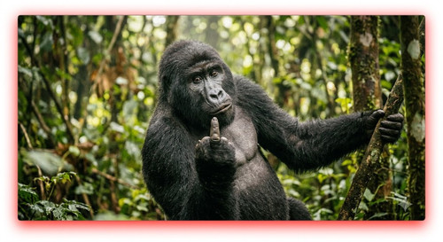 monkey reva.jpg