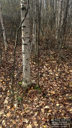 6acb745c87494.jpg
