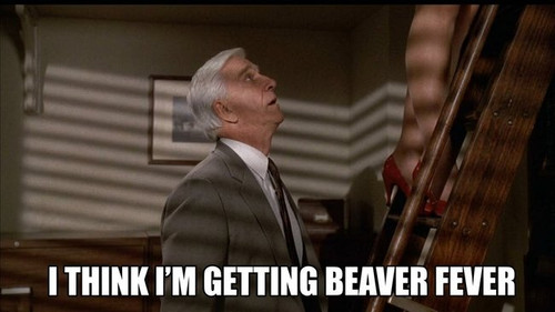 Beaver fever jpg.jpg