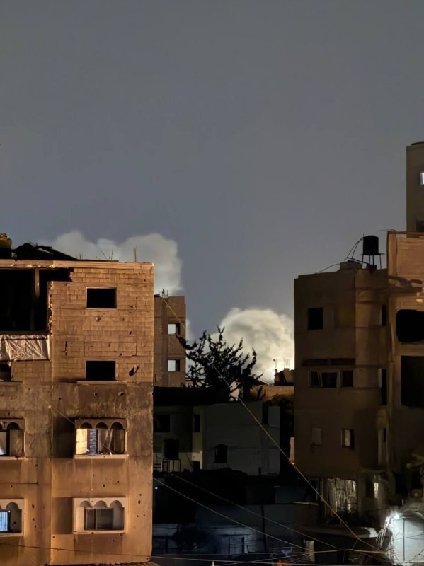 صورة الخبر