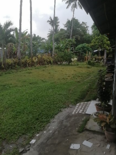 temp.2