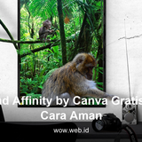 Download Affinity by Canva Gratis dengan Cara Aman