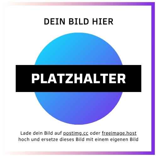 PLatzHALTER.1