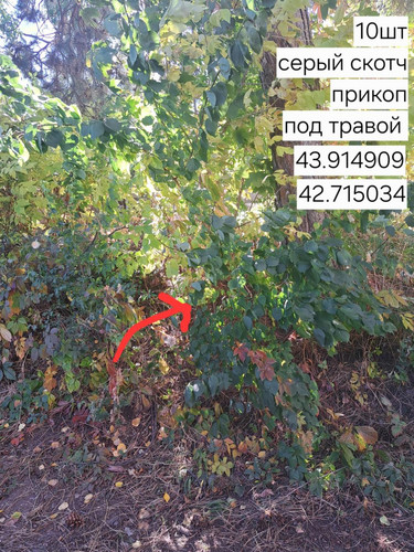 6acb5a99d2852.1