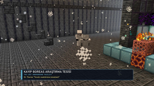screen boreas facility.1