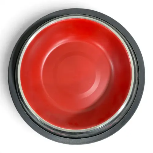 bf9f1b3d660f.webp