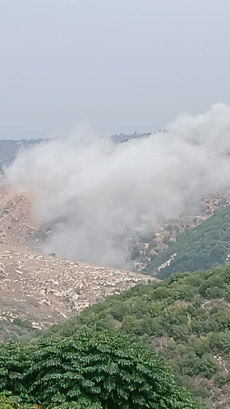 صورة الخبر