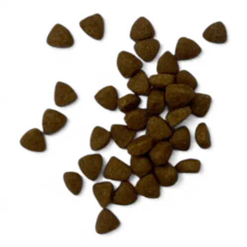 d62e3959f849.webp
