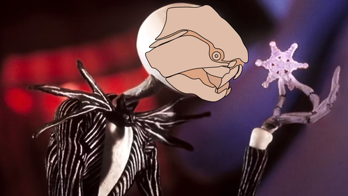 Dunk Skellingdude.png