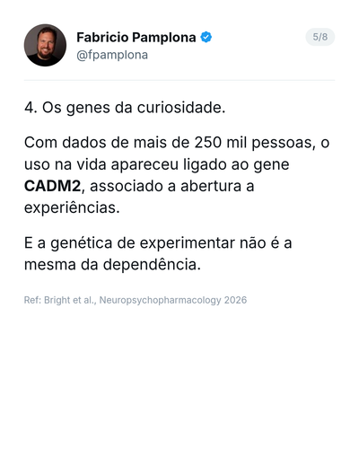 slide 05.png
