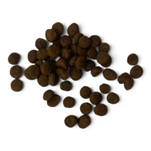 c6221777e872.webp