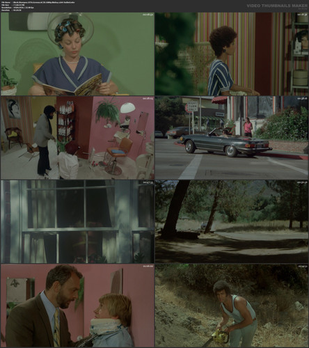 Black.Shampoo.1976.German.AC3D.1080p.BluRay.x264 bobbel.mkv.jpg