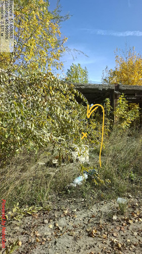 6acb5d138f957.jpg