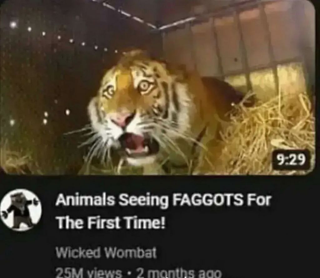 nMbGgIt.jpg