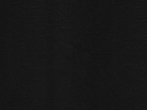 IMG 7346.1