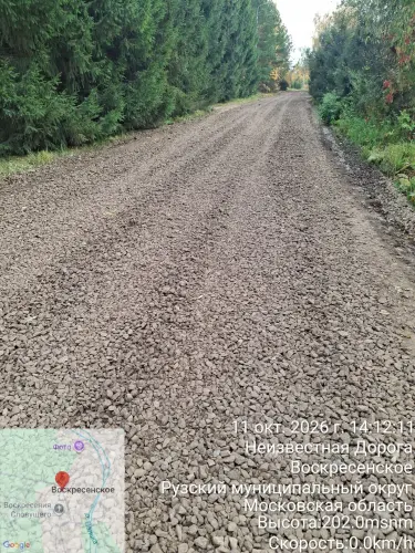 photo.webp