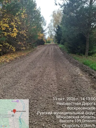 photo.webp