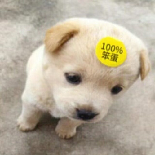 1000064657.jpg