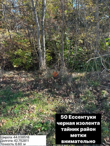6acb6cd577257.jpg