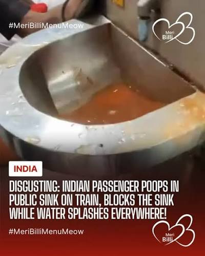 poopsjeet.jpg