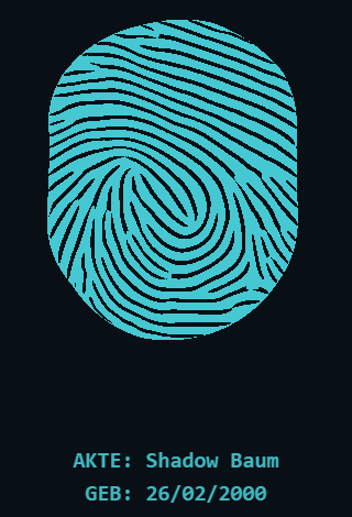 53113c51171f.png