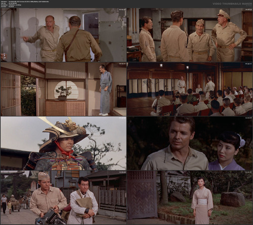 Joe Butterfly 1957 German AC3D DL 1080p BluRay x264 bobbel.mkv.jpg