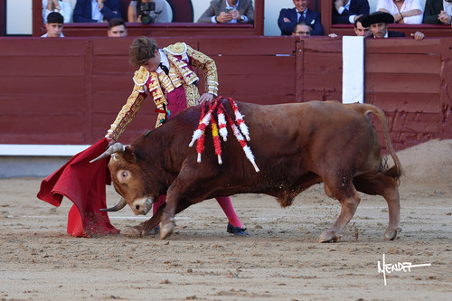 215A0626
