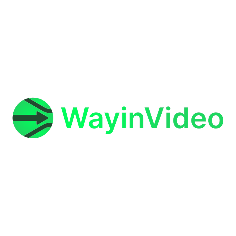 WayinVideo logo
