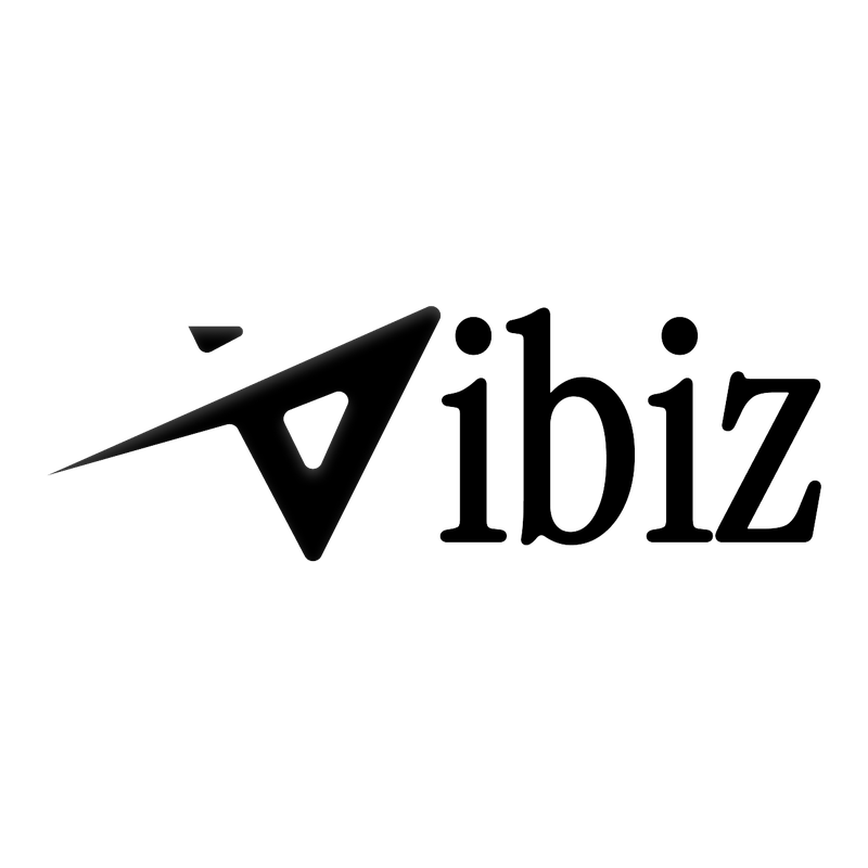 Vibiz logo