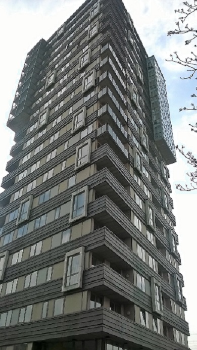 shadwell.1