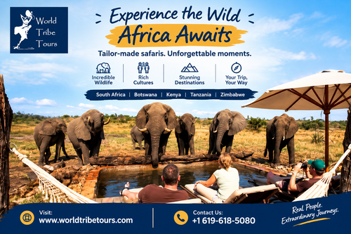 Experience the Wild Africa Awaits.2