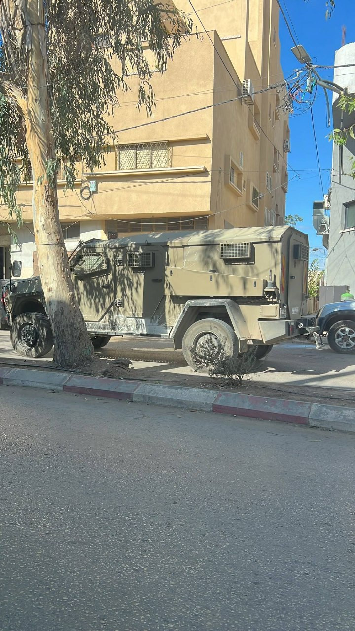صورة الخبر