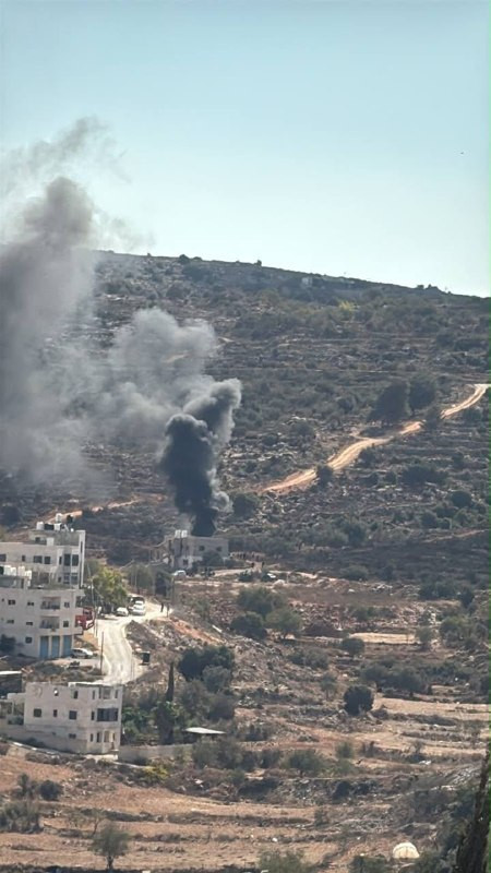 صورة الخبر