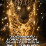 86654.3