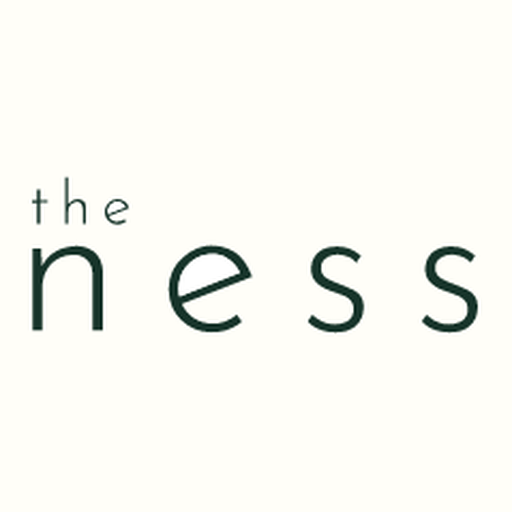 the ness logo