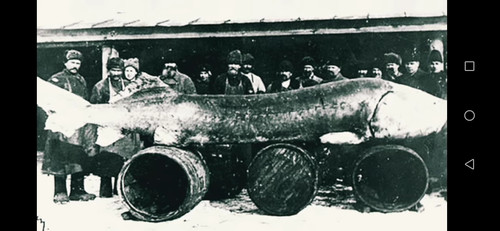 hunted sturgeon.jpg