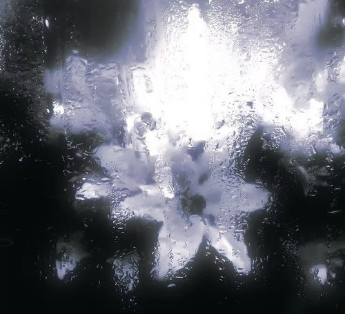 1000042714.1