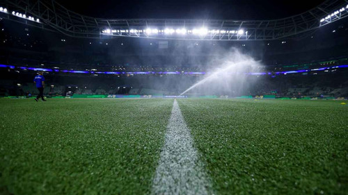 Palmeiras x Fluminense: onde assistir, prováveis escalações e arbitragem