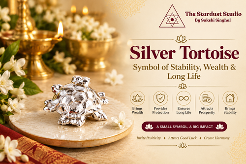 Buy Silver Tortoise Online at Best Price | The Stardust Studio.2
