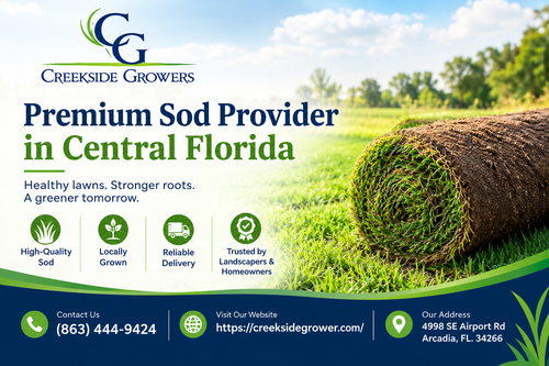 Premium Sod Provider in Central Florida for Quality Lawn Solutions.2