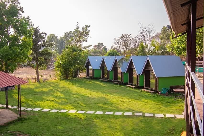 A-frame cottages with green sides on the lawn in daylight