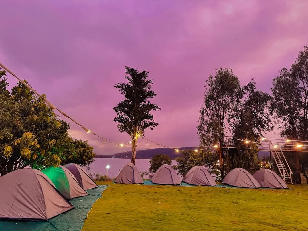 Dome tents on the lawn under a purple dusk sky