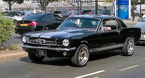 Mustang Sept 2026 Hackney London.1