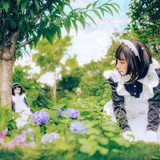 ip04HObToZmBce5J