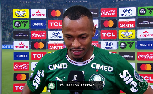 Palmeiras avança à final da Libertadores após superação