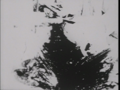 Begotten 20261021 220115.125.2
