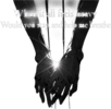 1000189893.png